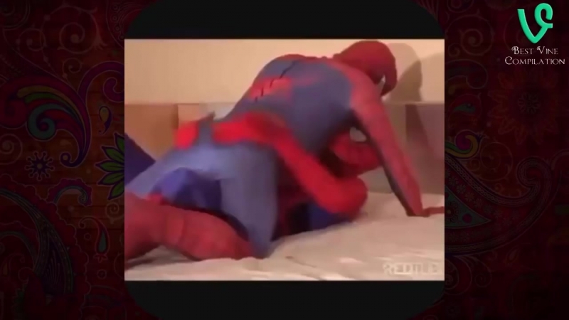 Spiderman ass slap vine compilation best vine compilation watch online